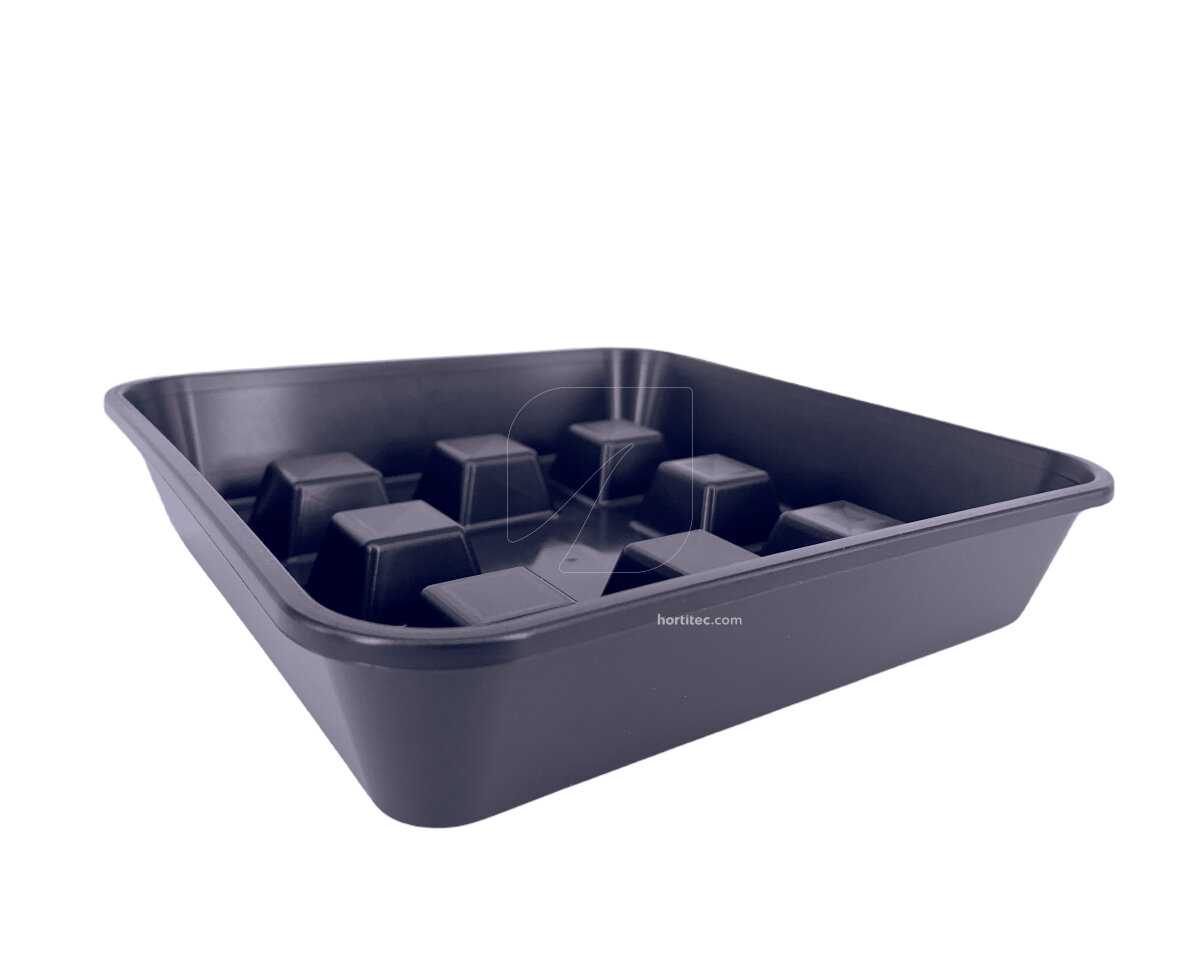 Plato cuadrado elevado 50 uds — imagen 3