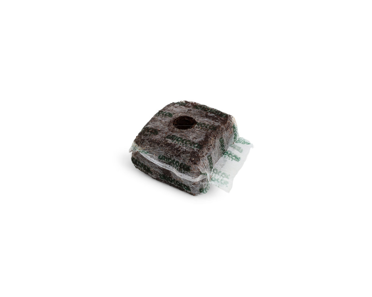 Riococo Block (10x10 cm) — imagen 2