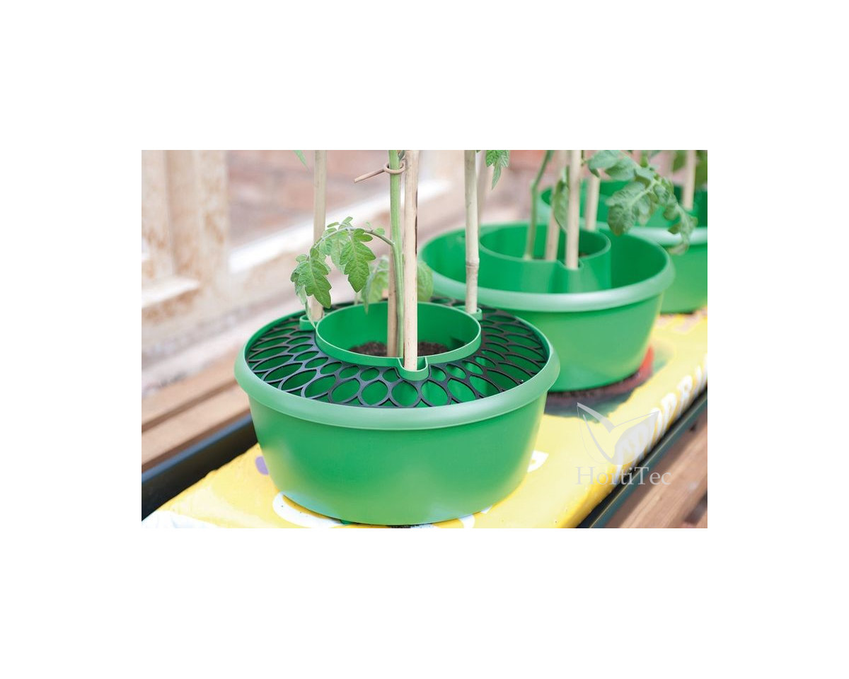 Rejilla Plant Halos — imagen 2