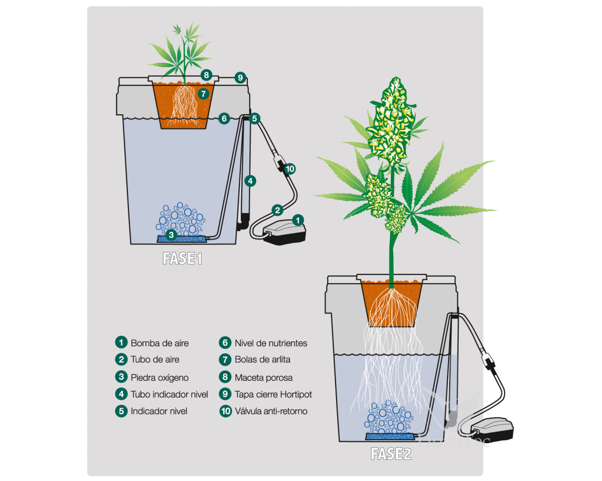 Hortipot — imagen 2