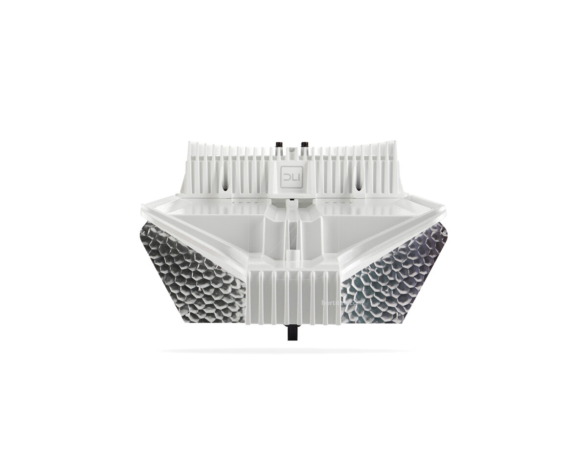 Luminaria 1000W 240V