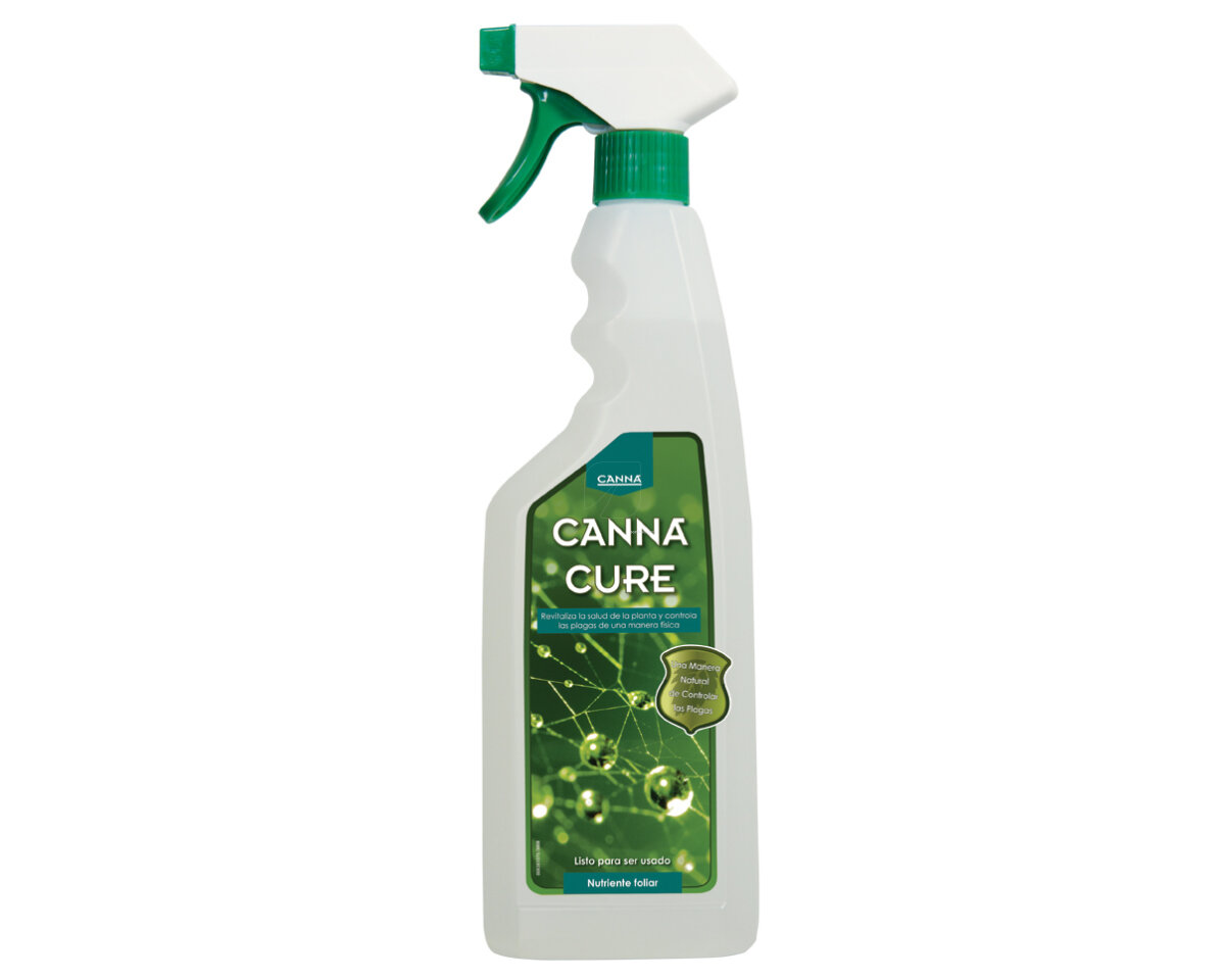 Cannacure