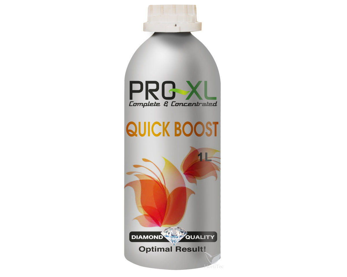 Quick Boost — imagen 3