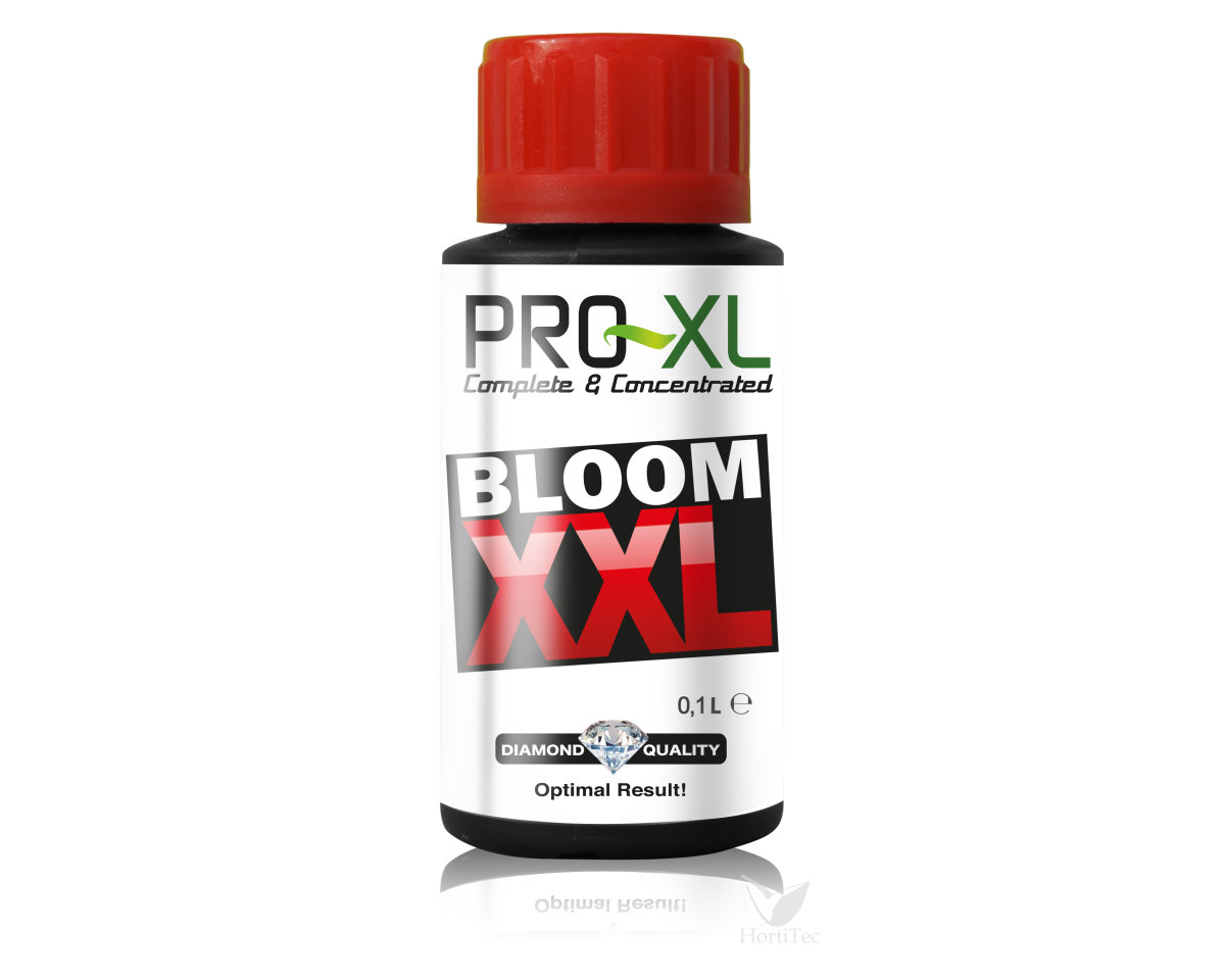 Bloom XXL — imagen 2