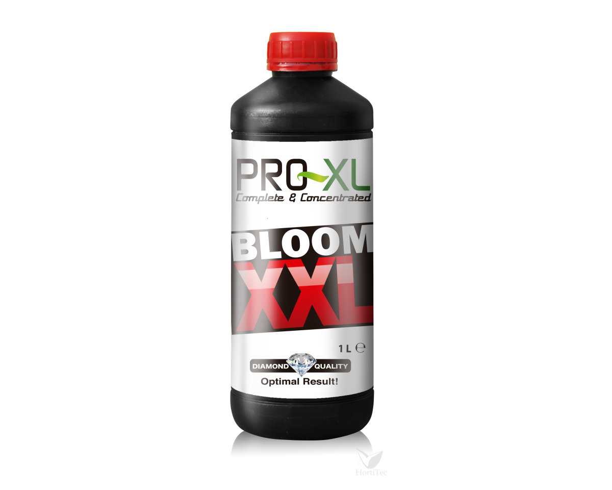 Bloom XXL