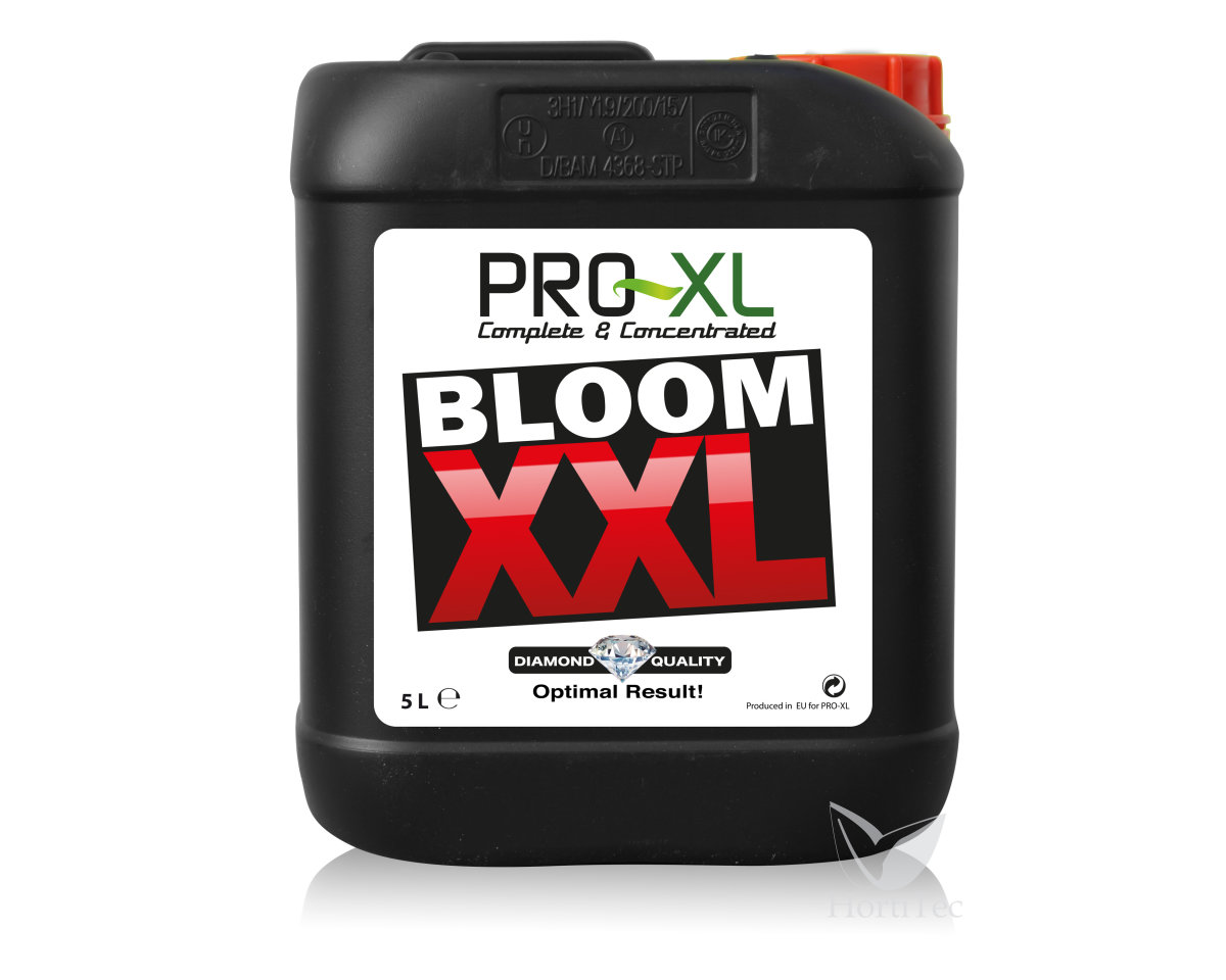Bloom XXL — imagen 3