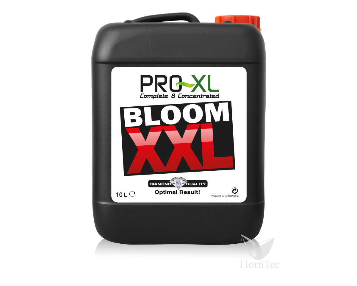 Bloom XXL — imagen 4