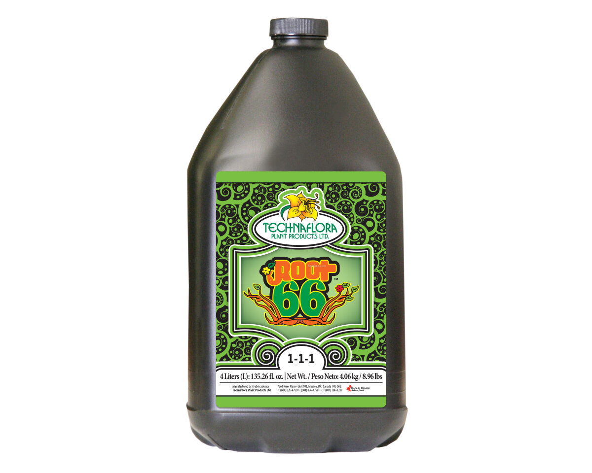 Root 66 — imagen 2