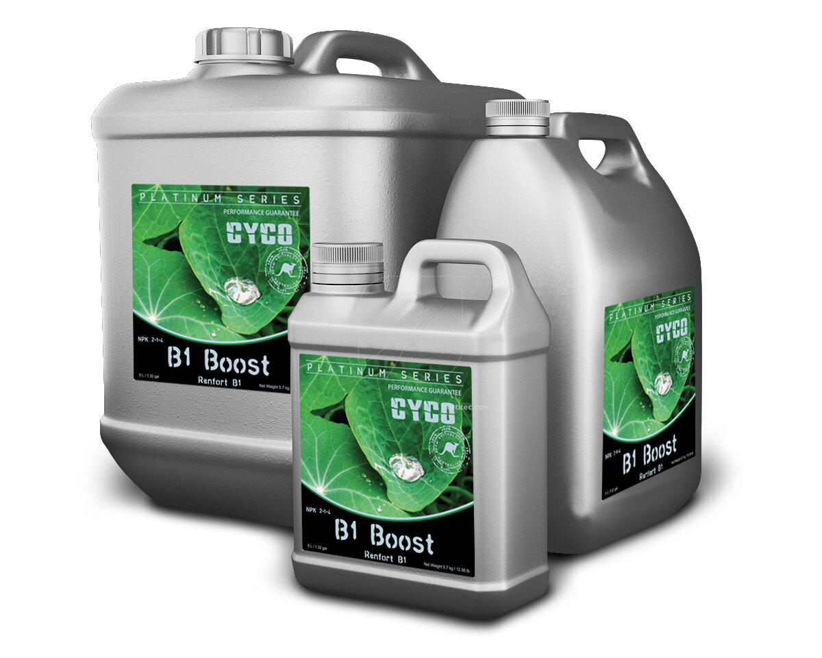 Cyco B1 Boost