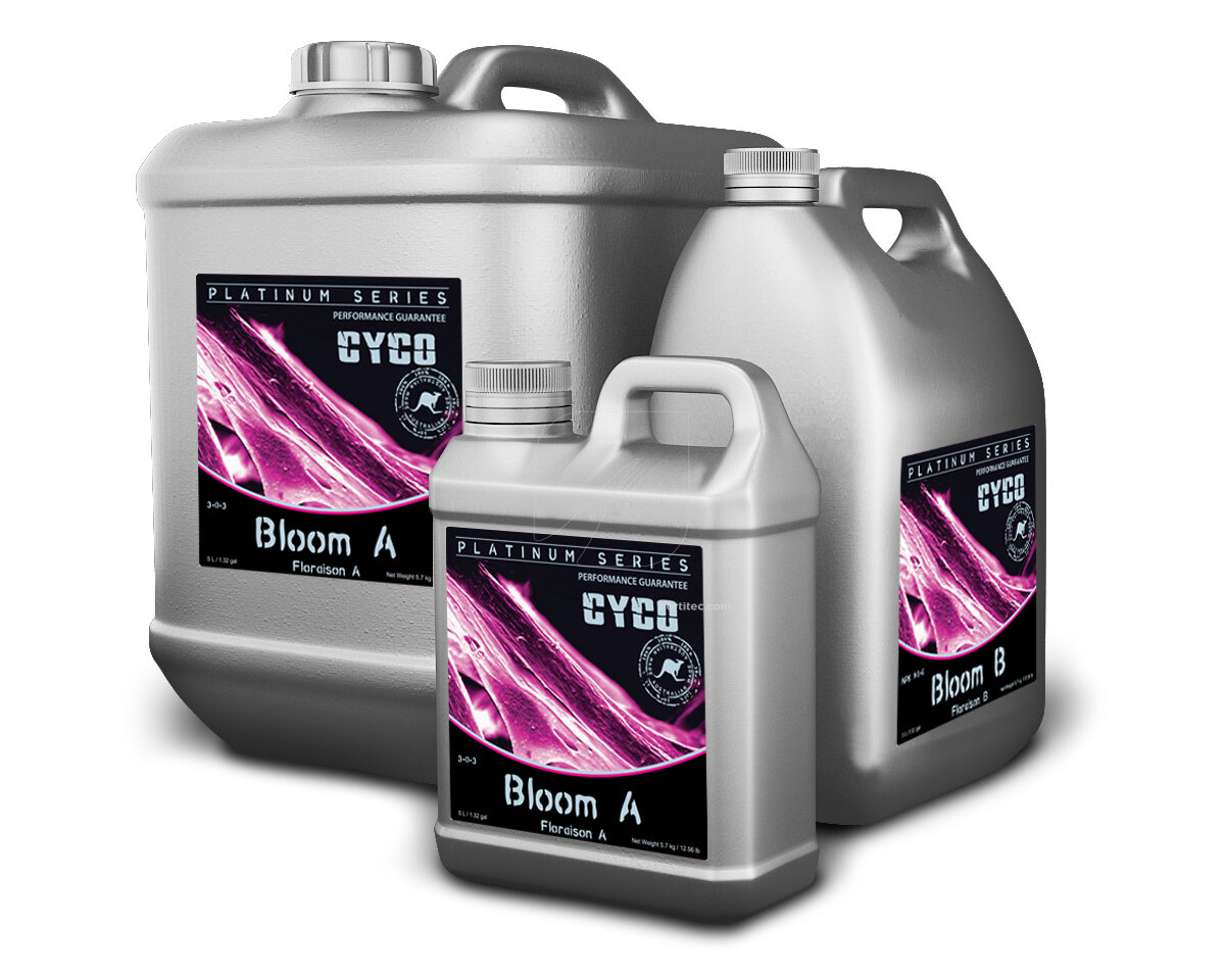 Cyco Bloom A