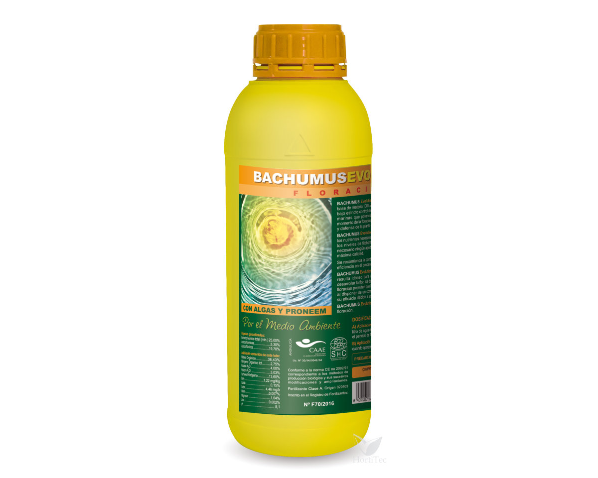 Bachumus Evolution F