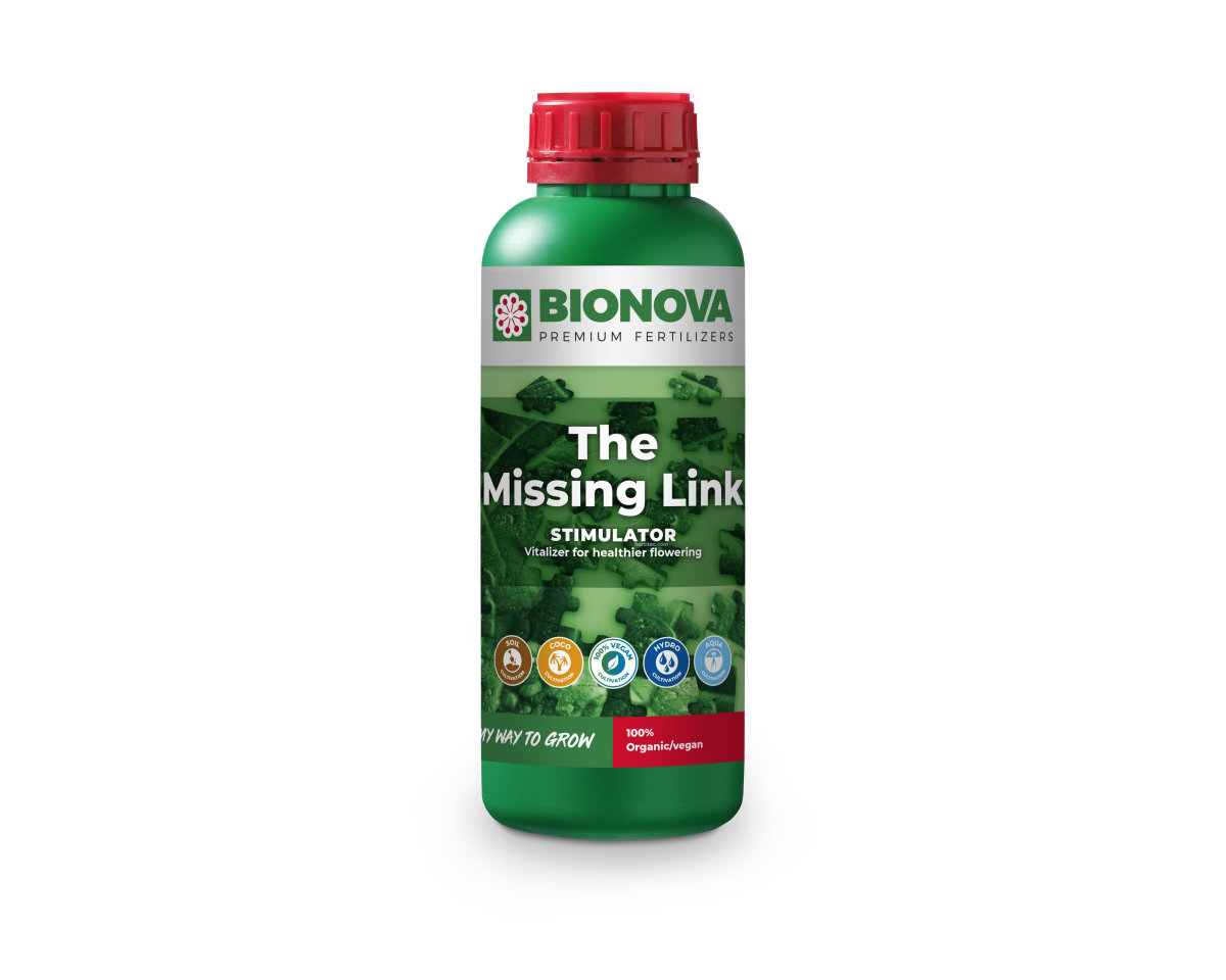 The Missing Link