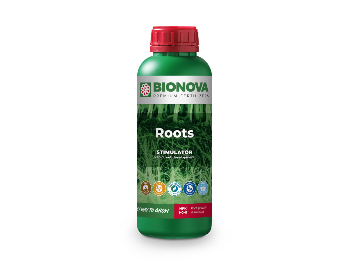 BN Roots
