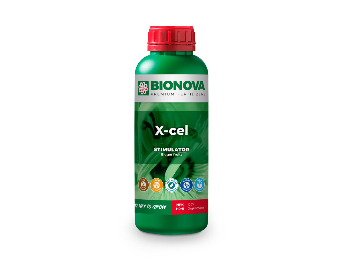 X-Cel