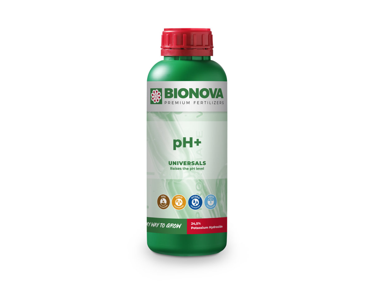 PH+