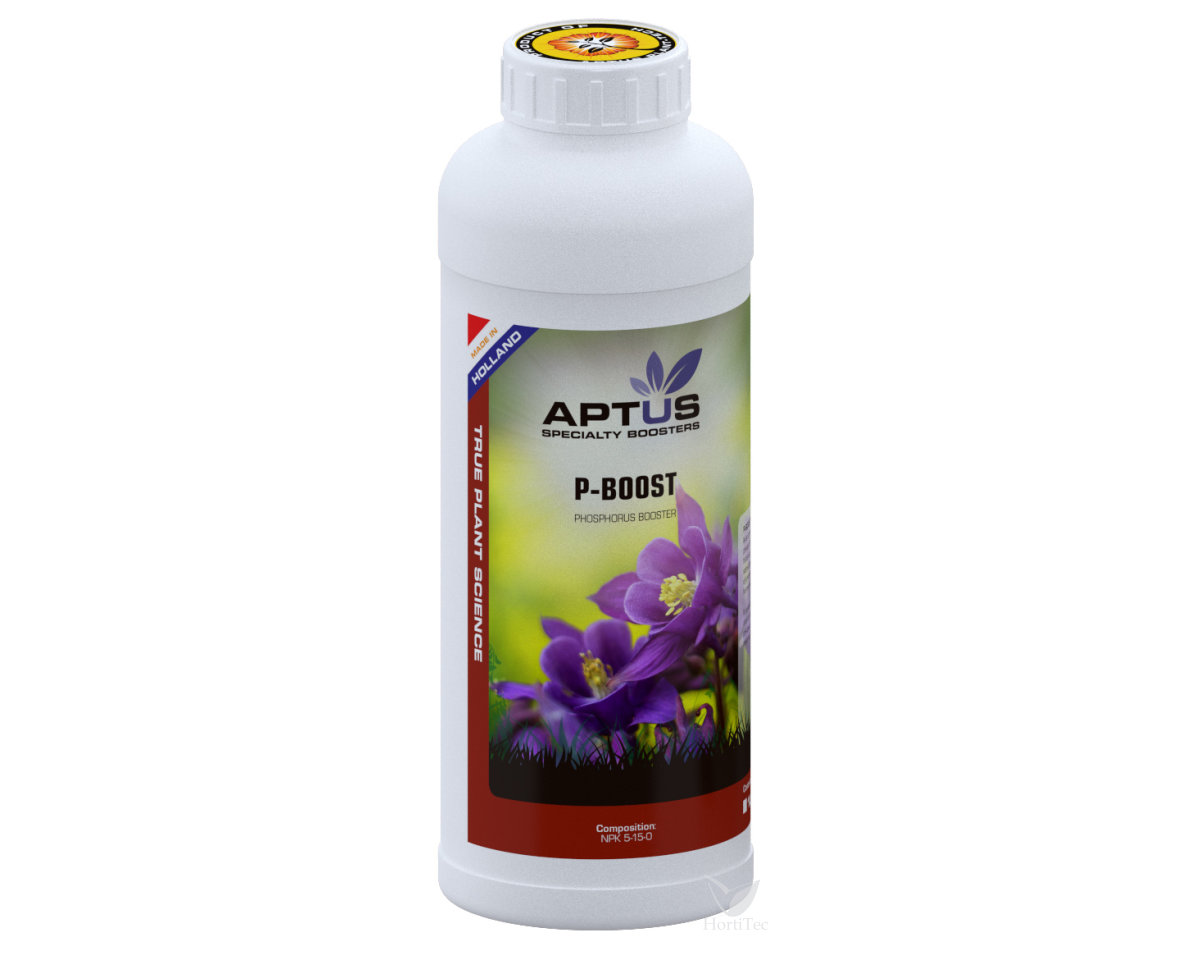 P-Boost — imagen 3