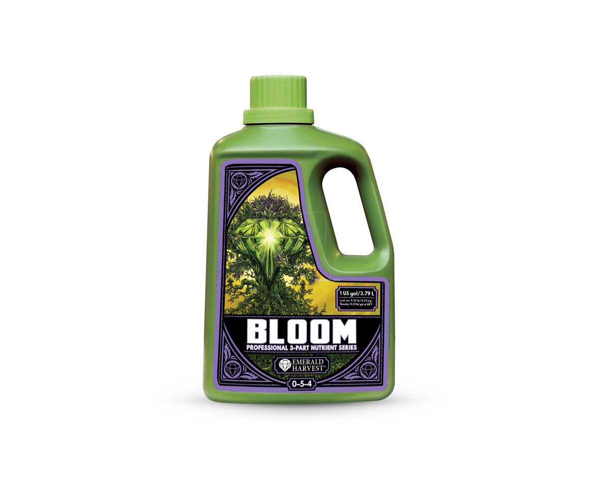 Bloom Prof 3 part — imagen 2