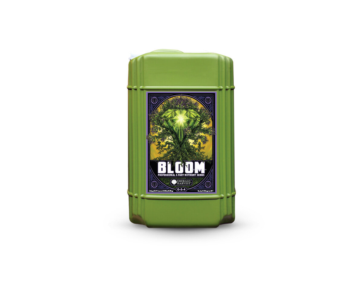 Bloom Prof 3 part — imagen 4