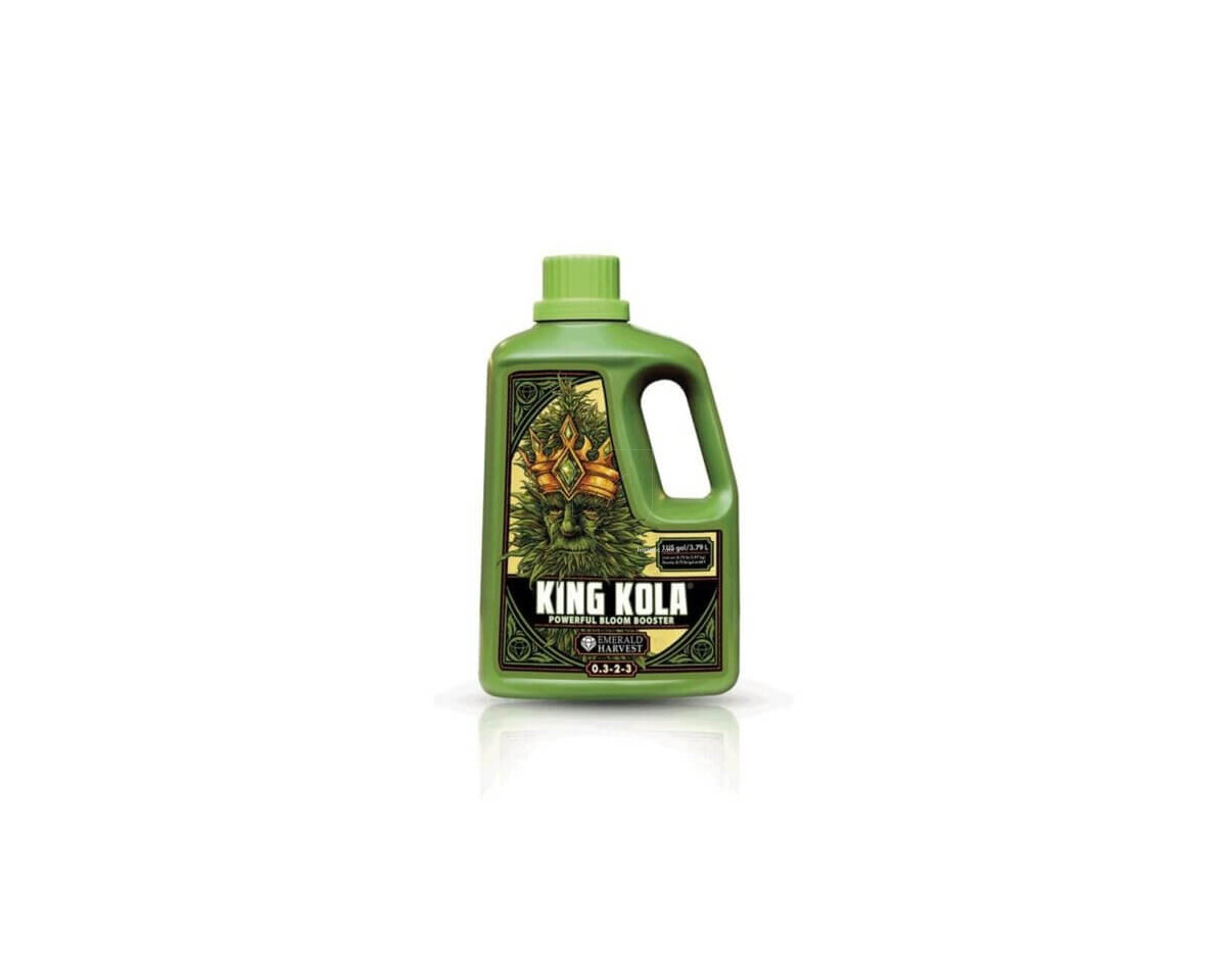 King Kola — imagen 2