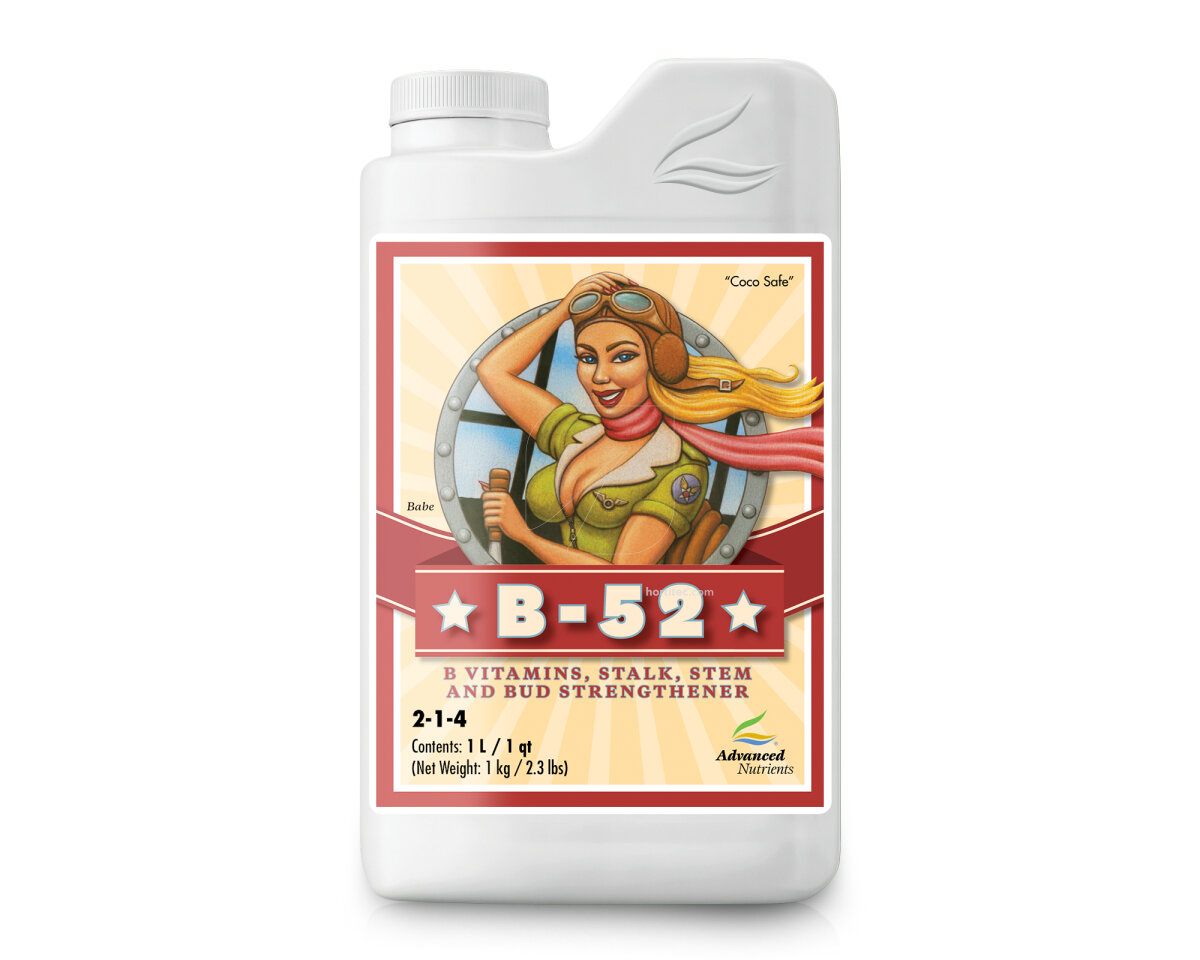 B-52 1 Suplemento Vitamina B — imagen 5
