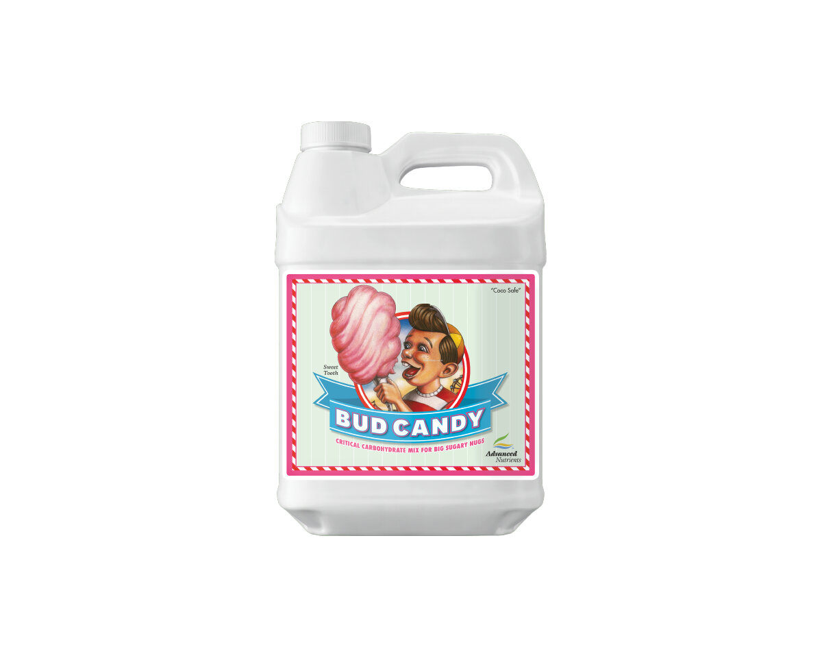 Bud Candy