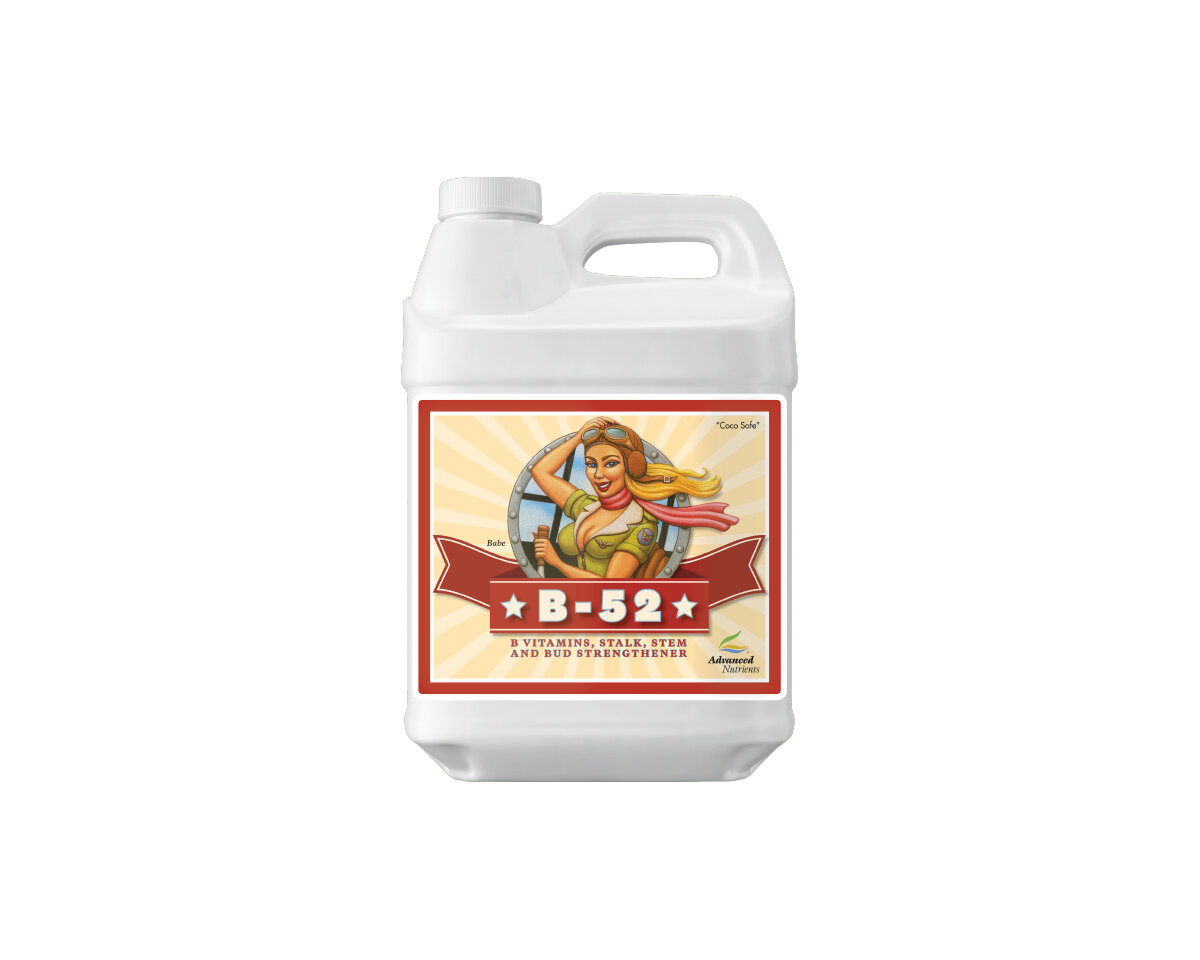 B-52 1 Suplemento Vitamina B — imagen 3