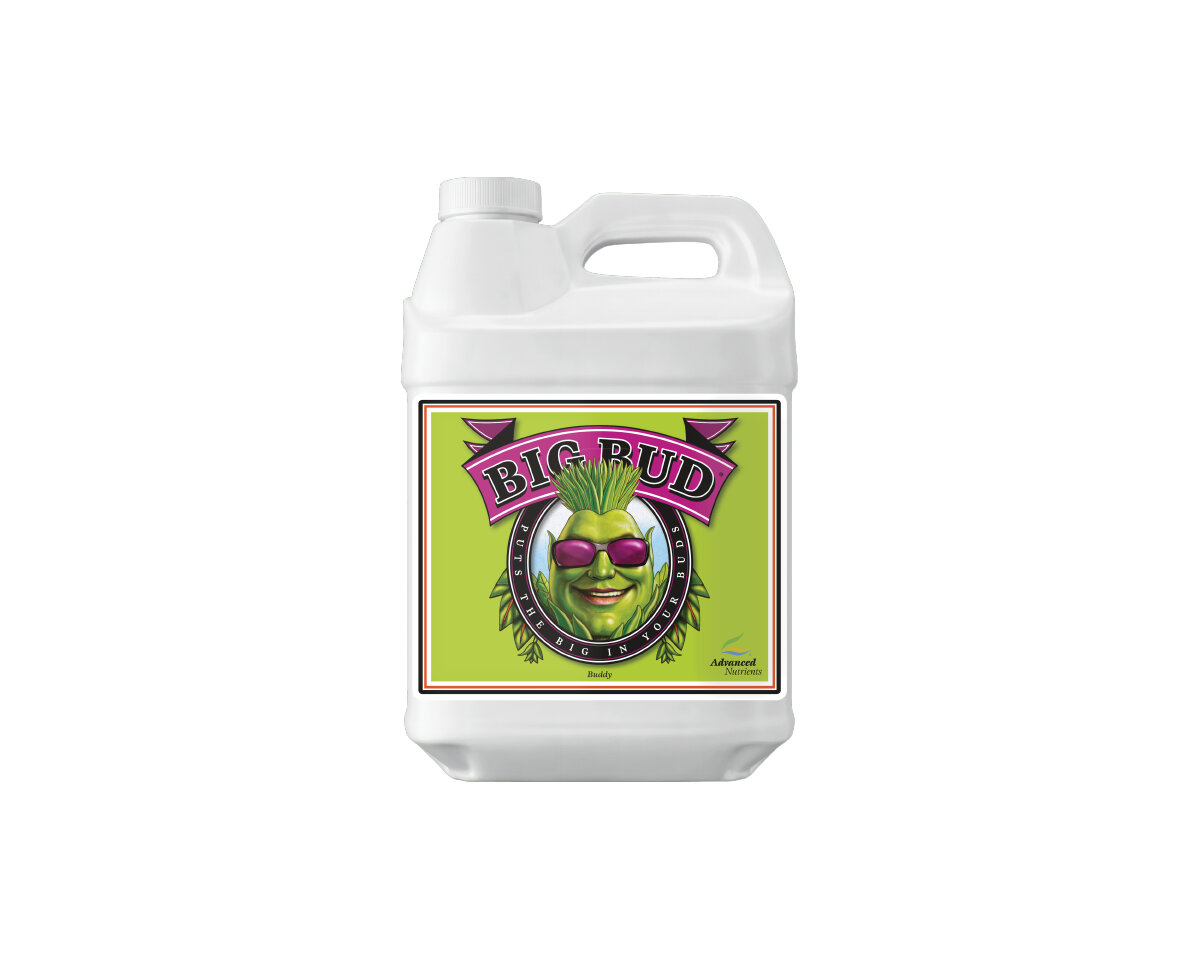 Big bud Advanced nutrients