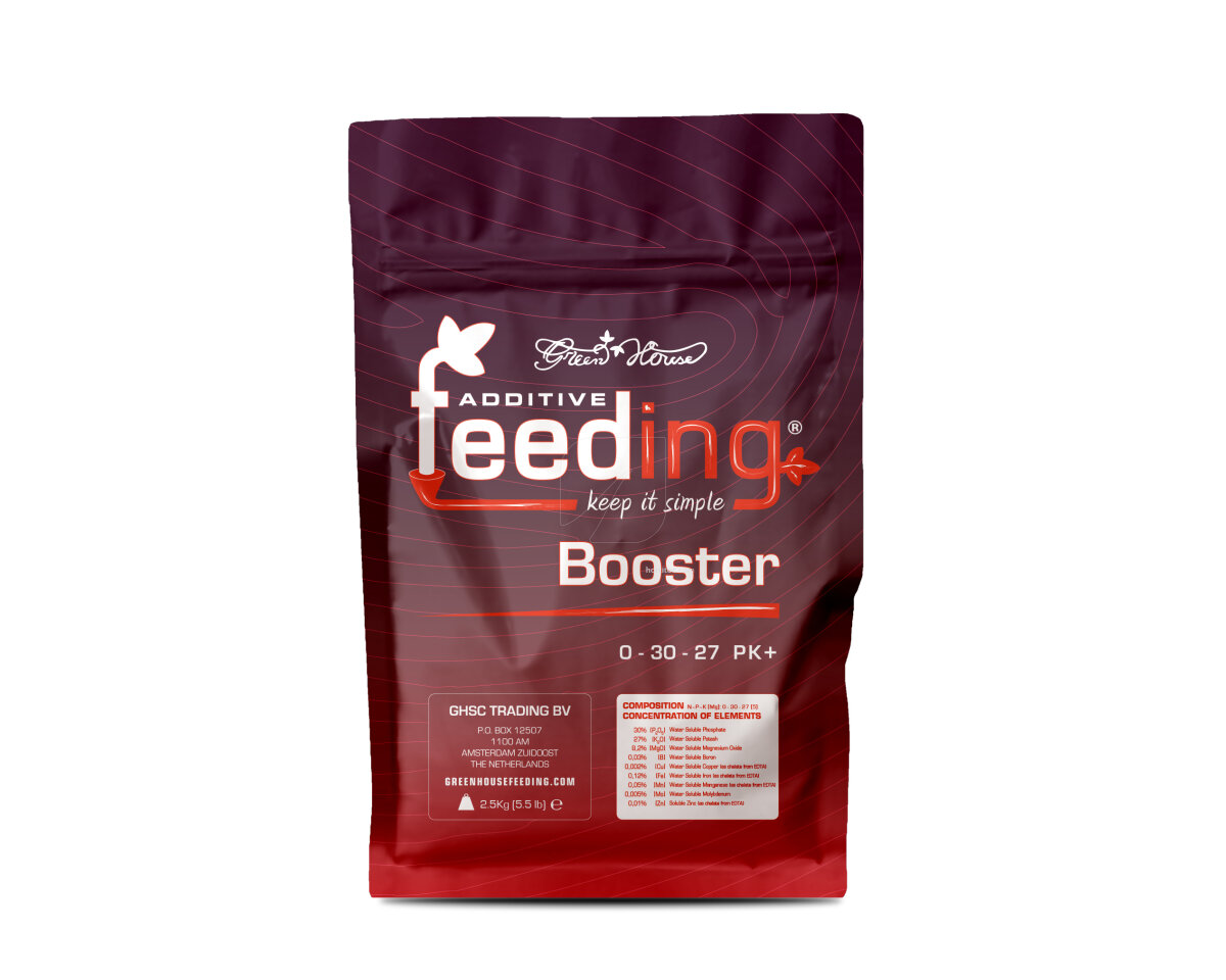 Booster — imagen 4