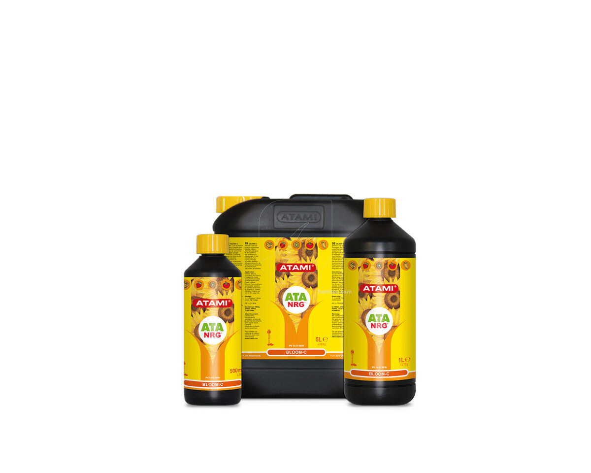 ATA NRG Bloom C