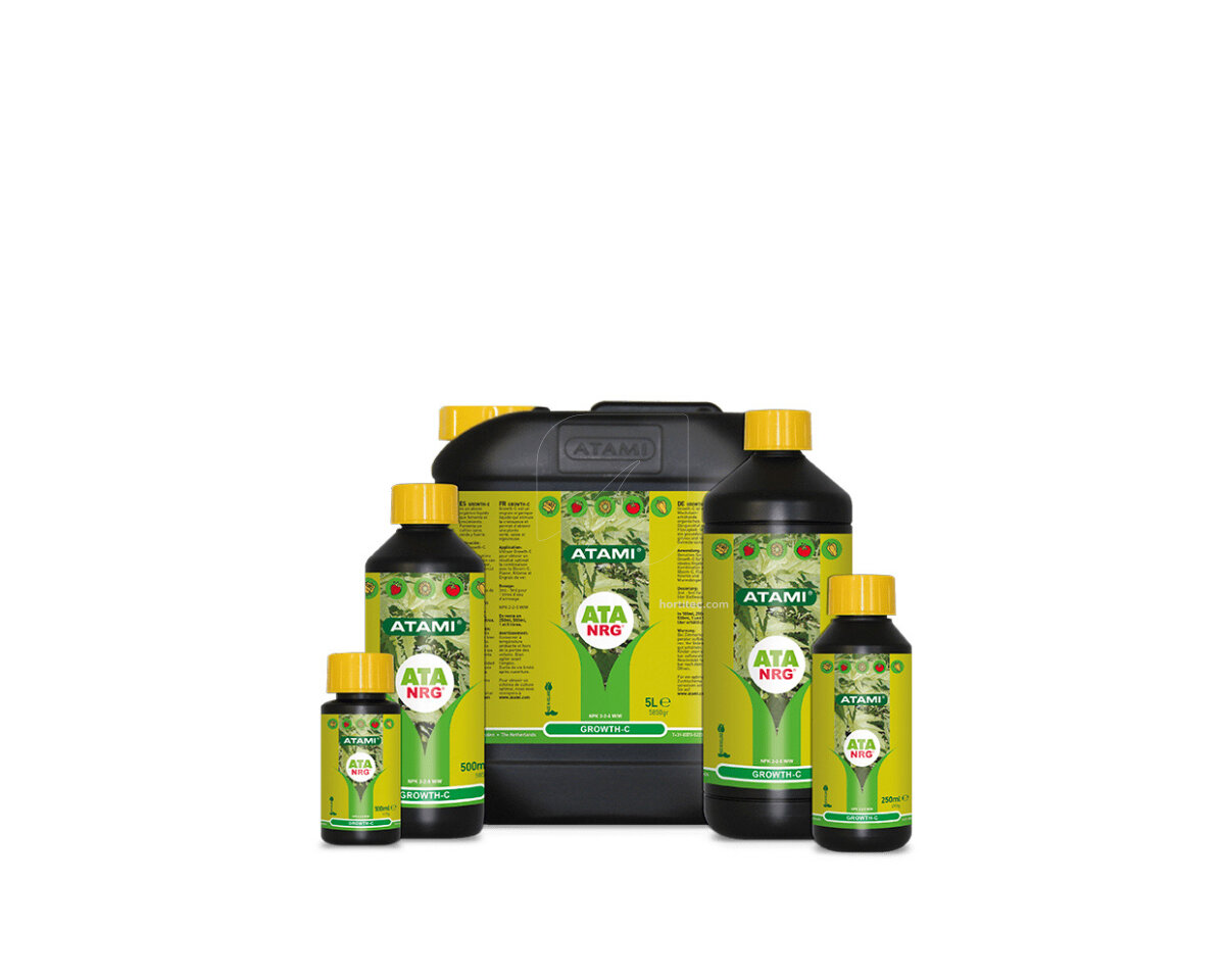 ATA NRG Growth C