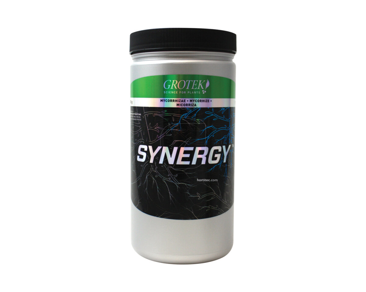 Synergy™ — imagen 2