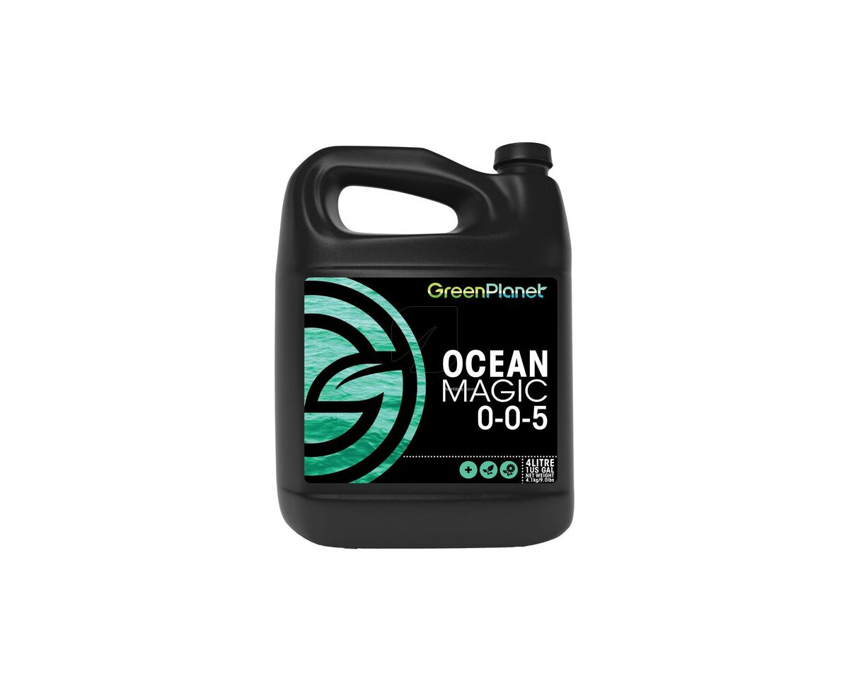 Ocean Magic
