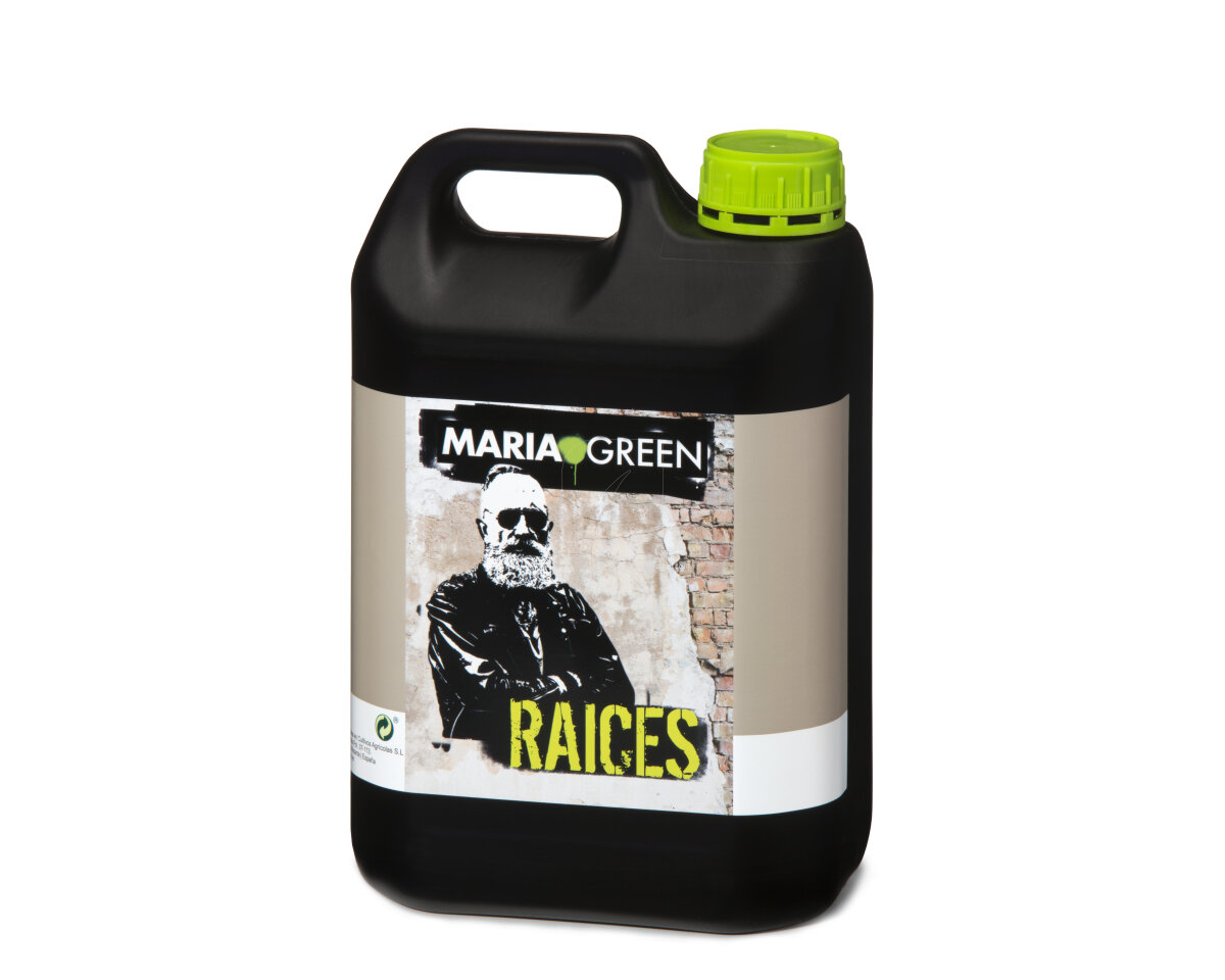 Roots Maria Green — imagen 4