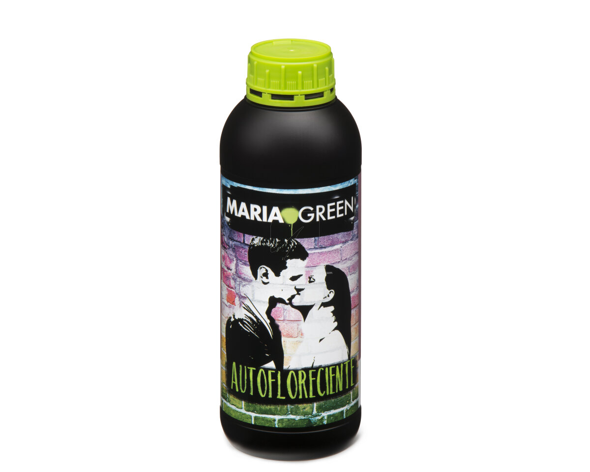 Autoflow Maria Green — imagen 2