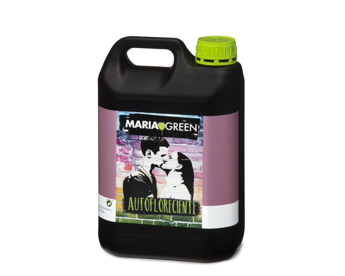 Autoflow Maria Green — imagen 3