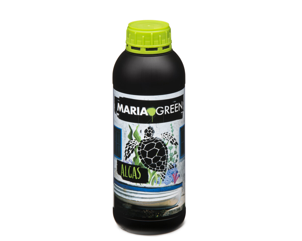Huano Maria Green