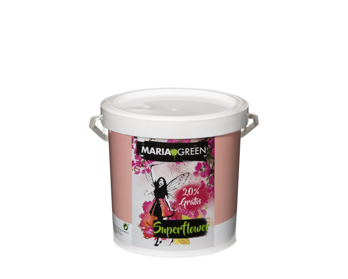 Superflower Maria Green — imagen 3