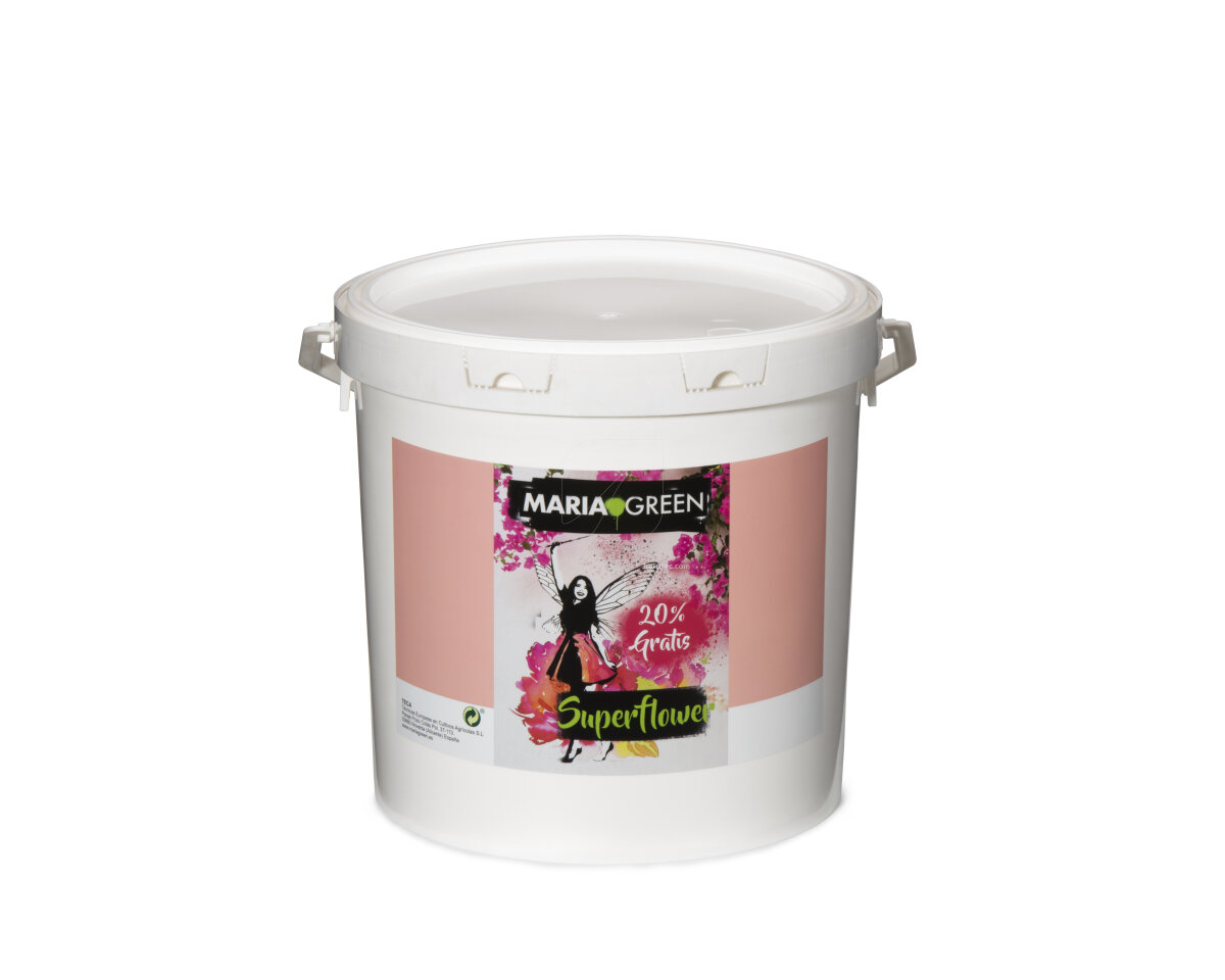 Superflower Maria Green — imagen 4