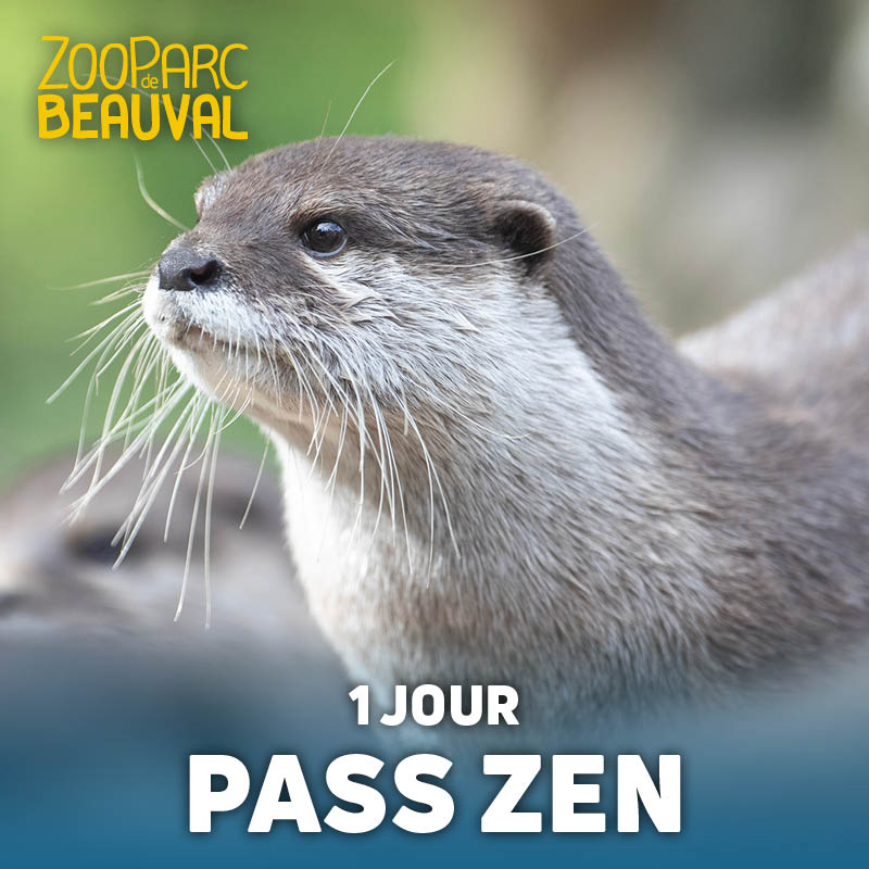 ZooParc de Beauval