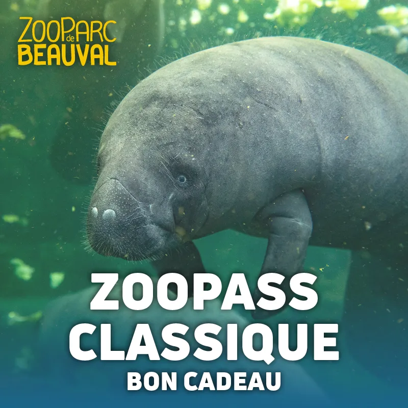 Bon Cadeau ZooPass