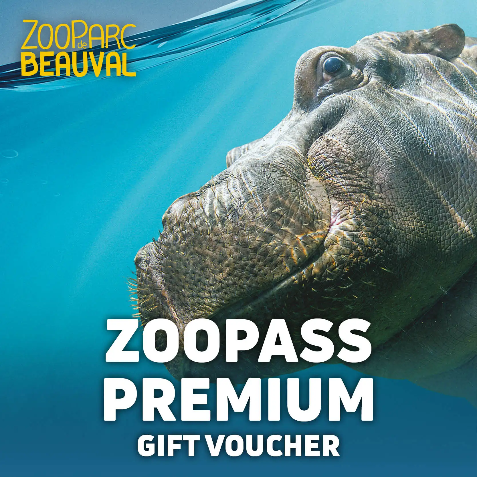 Adhésion ZooPass