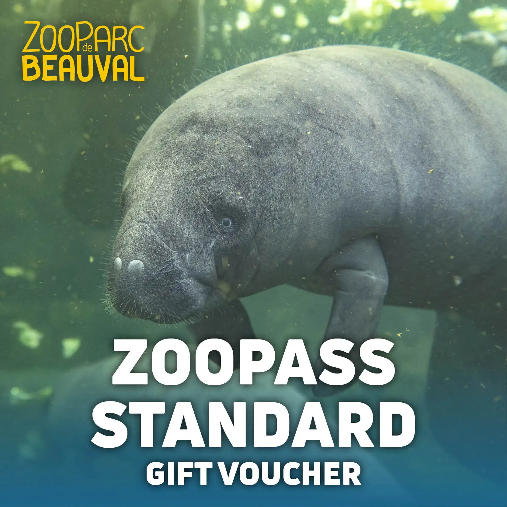 Adhésion ZooPass