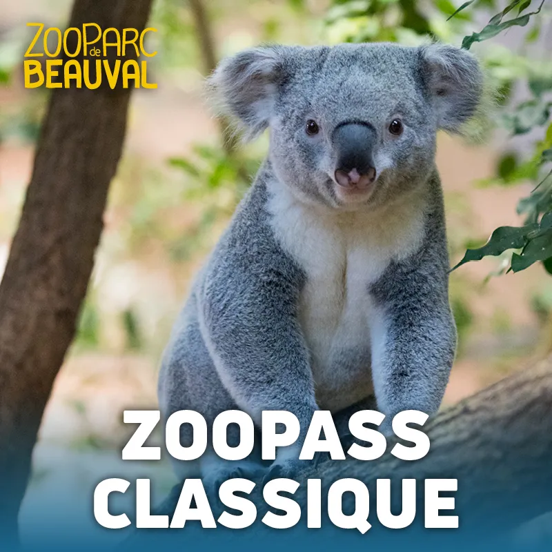 Adhésion ZooPass