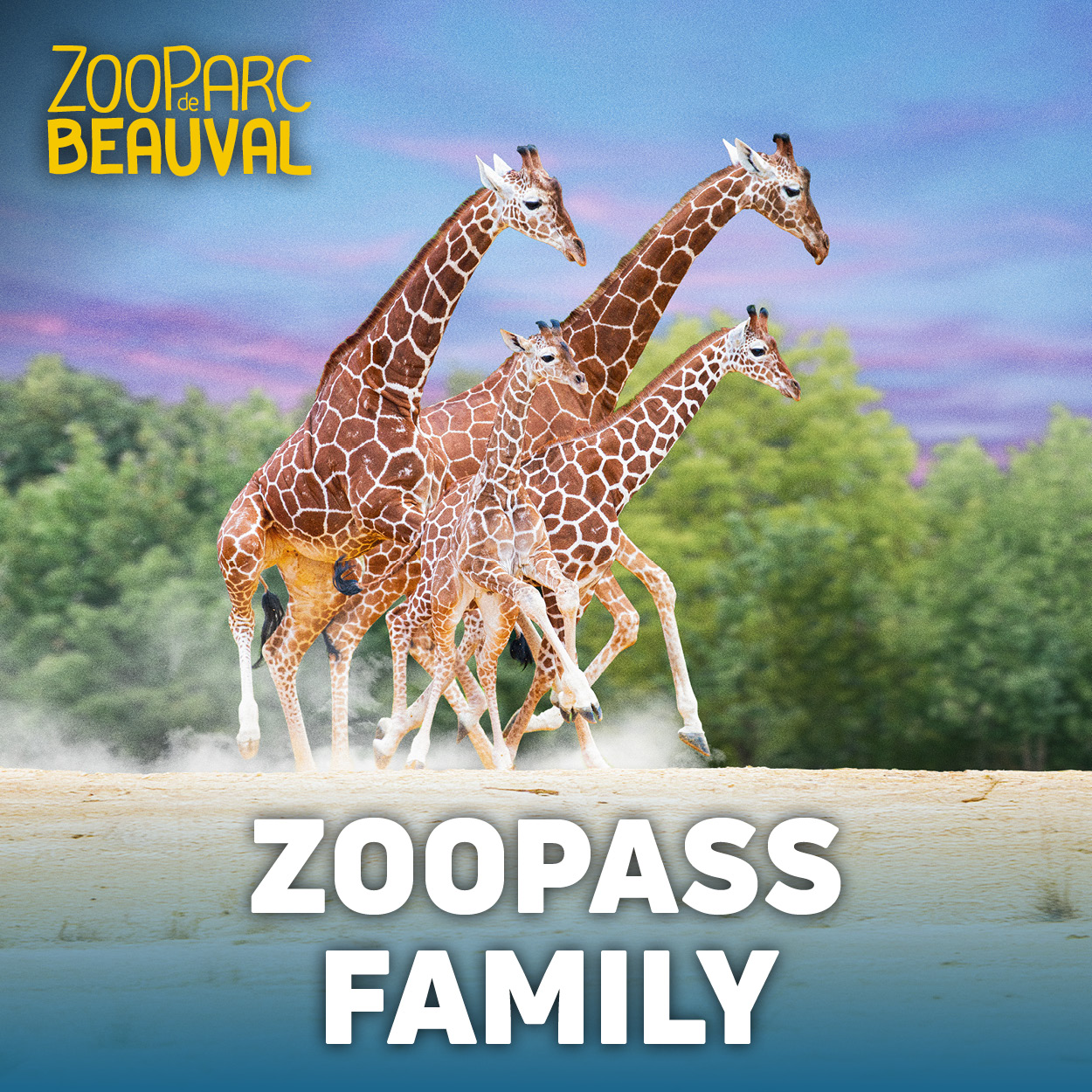 Adhésion ZooPass