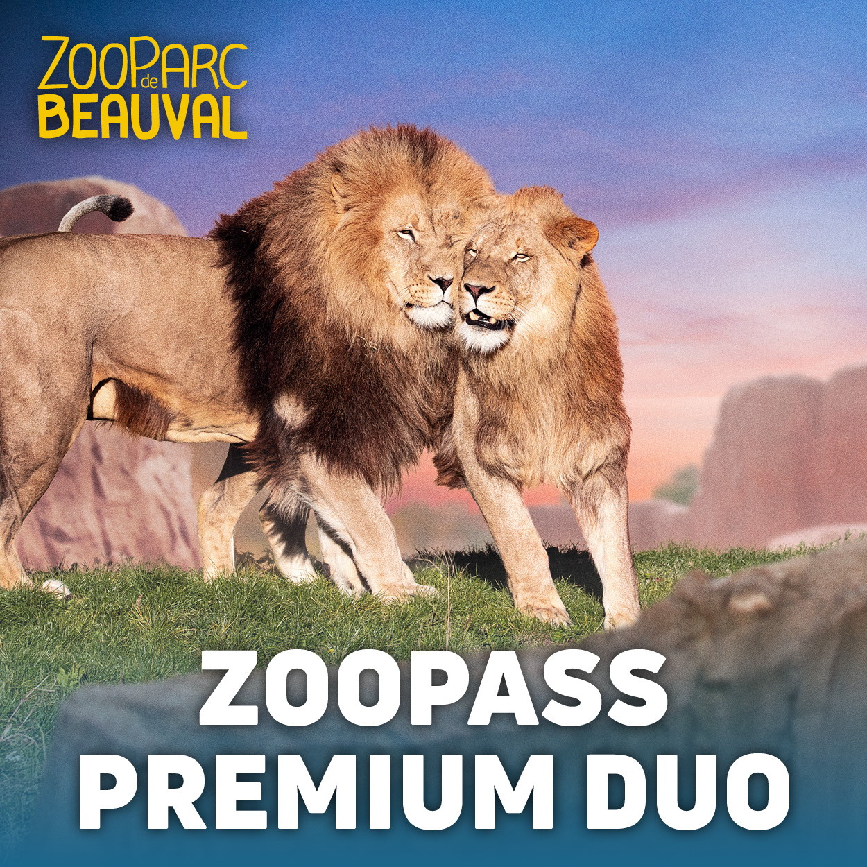 Adhésion ZooPass