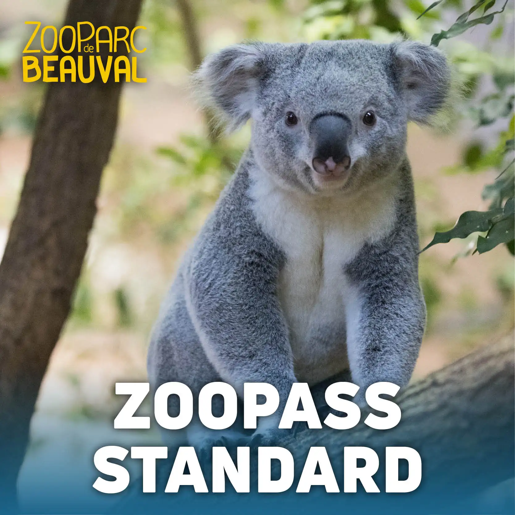 Adhésion ZooPass