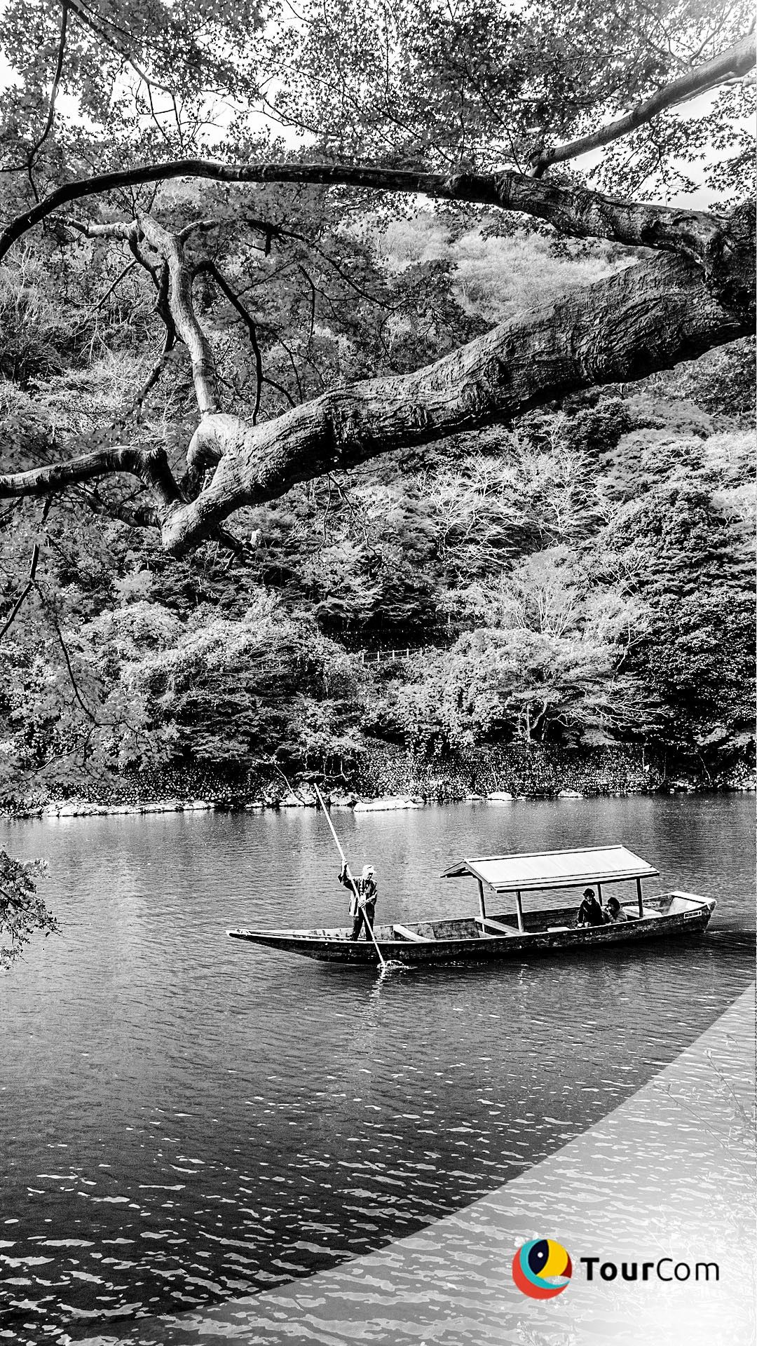 3898494021478033488affe64dbafde5