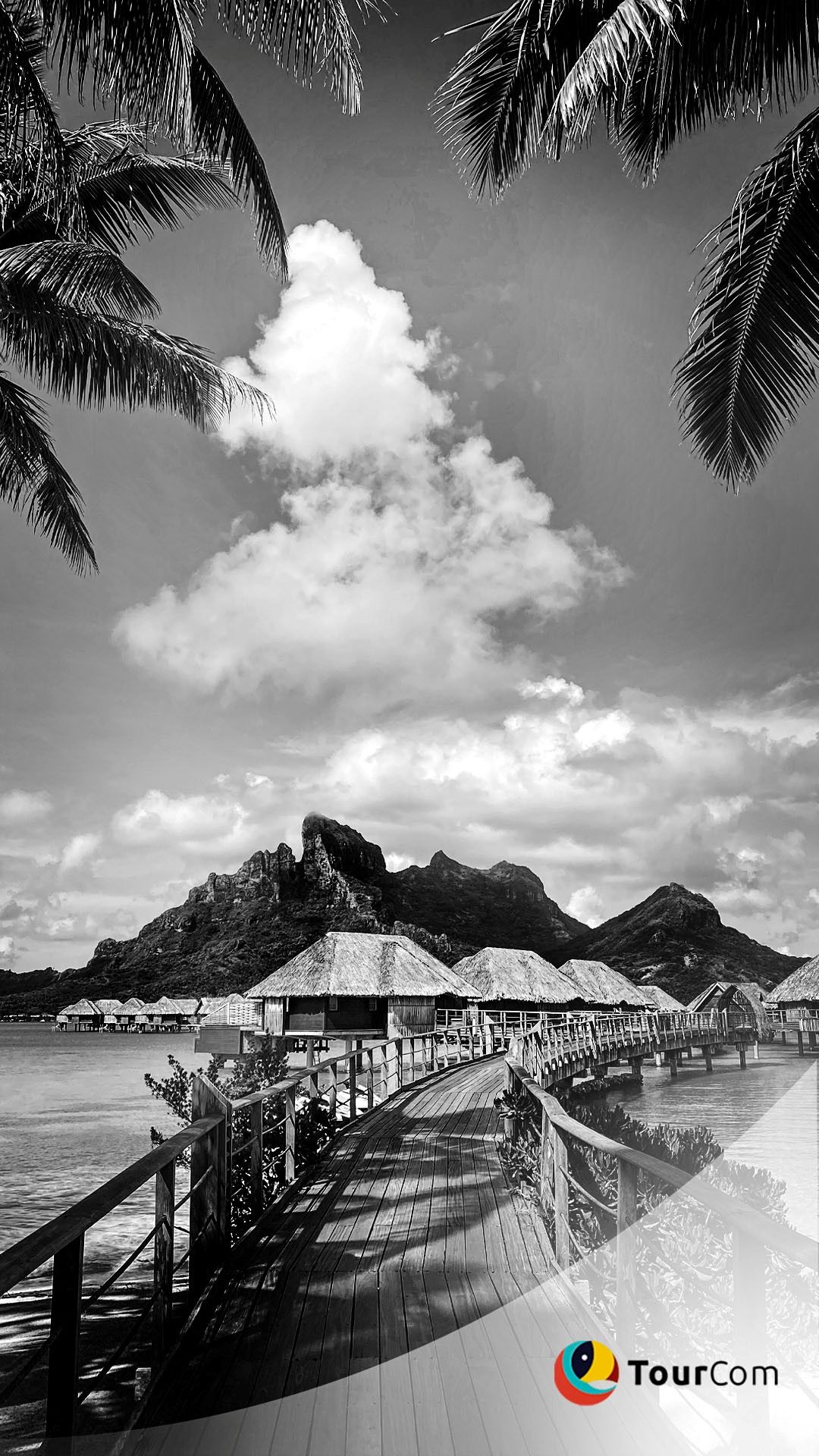 397914b4aea982979ff4abba0925a5d3