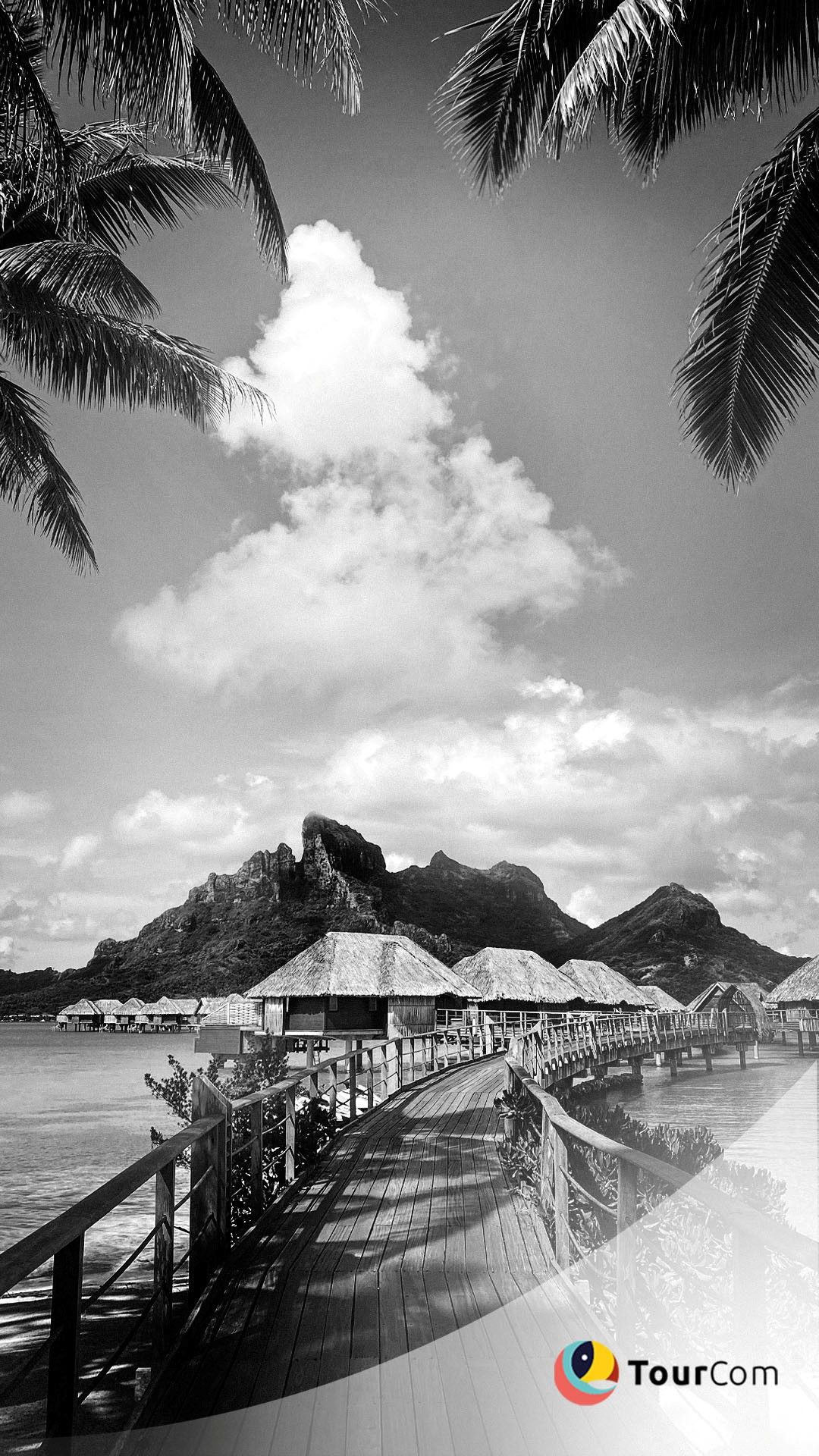 49fe858b5dc85522dbb538eb60df9f72