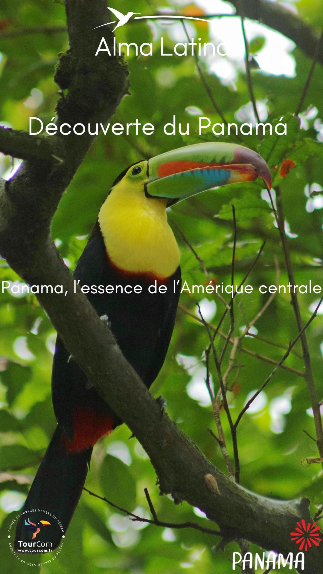 842417c7e9e38c132da9a810f59aed8a